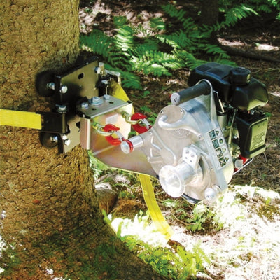 TREE-MOUNT WINCH ANCHORING SYSTEM WITH RUBBER PADS